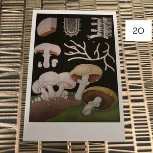 Single Postcard Art Print w/ Vintage Imagery - Botany - Mushroom 20